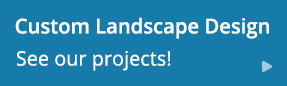 Custom Lanscape Design